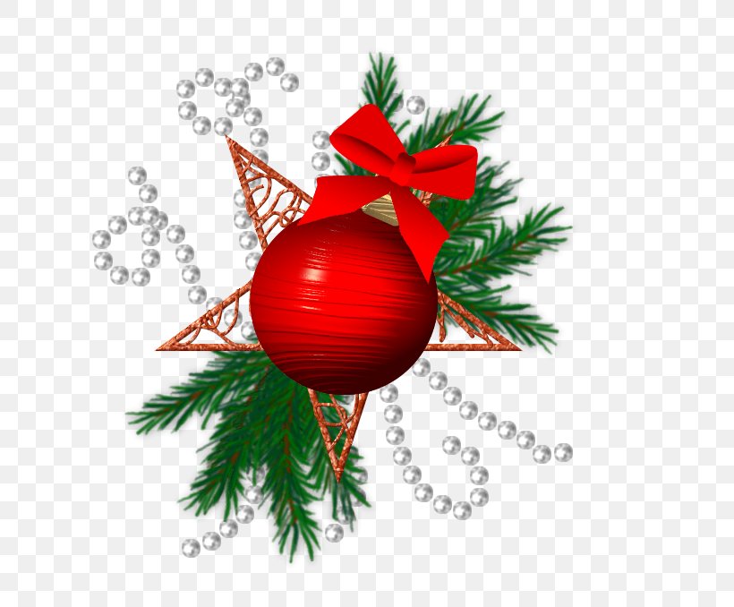 Christmas Ornament Branching, PNG, 614x678px, Christmas Ornament, Branch, Branching, Christmas, Christmas Decoration Download Free