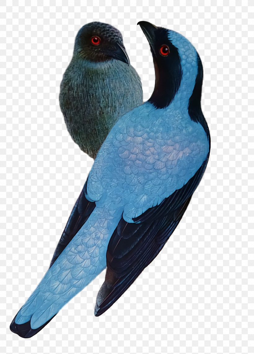 Cobalt Blue Beak Cobalt, PNG, 1032x1440px, Cobalt Blue, Beak, Cobalt Download Free