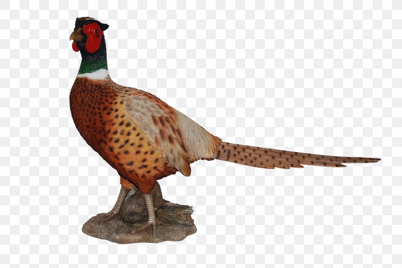 Pheasant Art Garden Ornament Garden Ornament, PNG, 2000x1339px, Pheasant, Animal Figure, Art, Beak, Bird Download Free