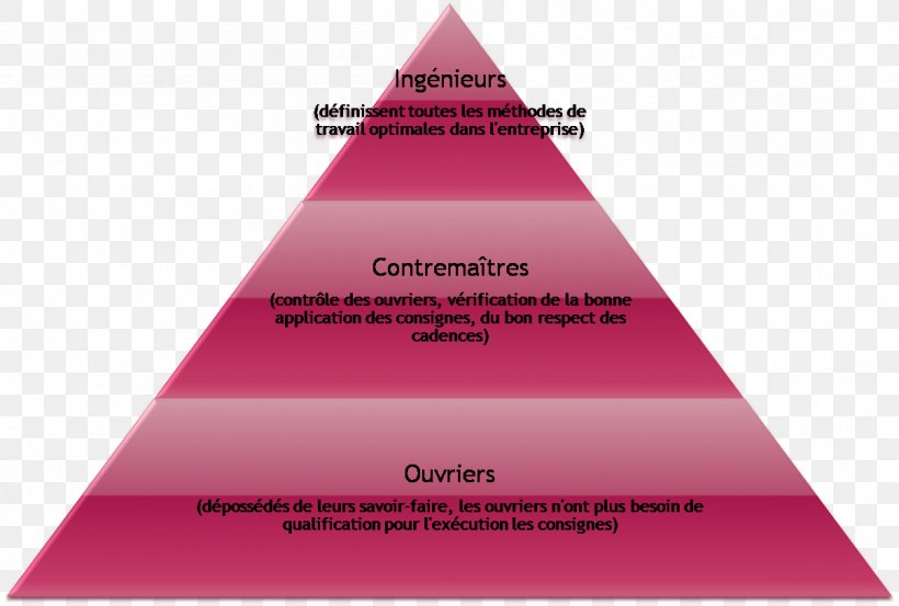 Scientific Management Division Verticale Du Travail Fordism Organisation Scientifique Du Travail Toyotism, PNG, 1205x813px, Laborer, Brand, Diagram, Division Of Labour, Empresa Download Free