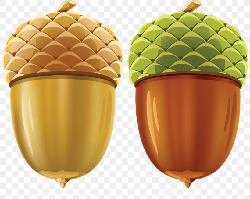 Acorn Clip Art Oak Image, PNG, 850x677px, Acorn, Acorn Nut, Beech Family, Food, Mast Download Free