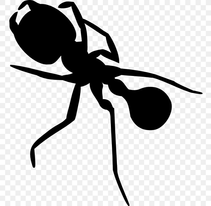Clip Art Insect Silhouette Line, PNG, 755x800px, Insect, Ant, Blackandwhite, Carpenter Ant, Invertebrate Download Free