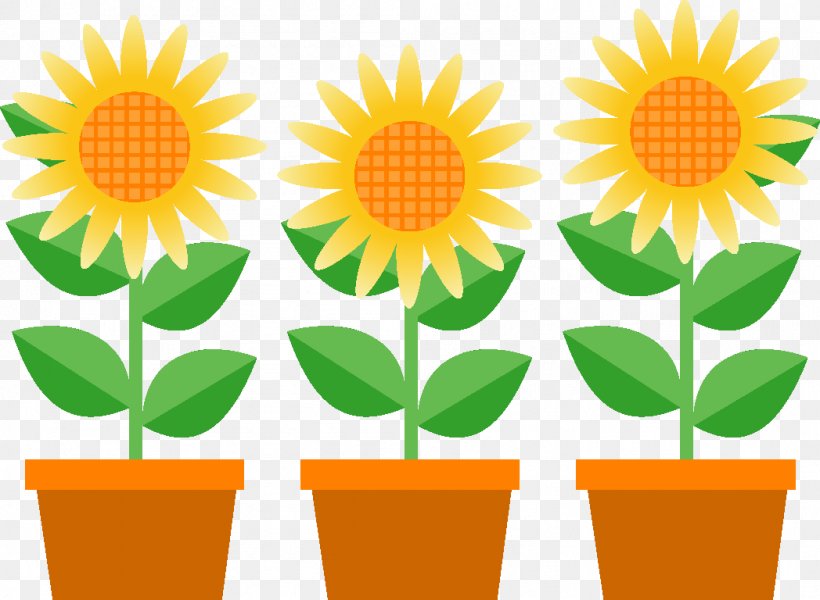 Common Sunflower Illustration 暑中 Clip Art, PNG, 1048x768px, Common Sunflower, Artwork, Calendula, Cut Flowers, Daisy Family Download Free