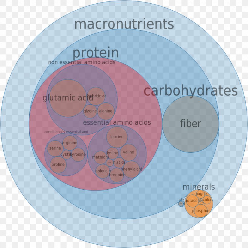Nutrient Milk Vitamin Food Protein, PNG, 960x960px, Nutrient, Brand, Chicken As Food, Communication, Diagram Download Free