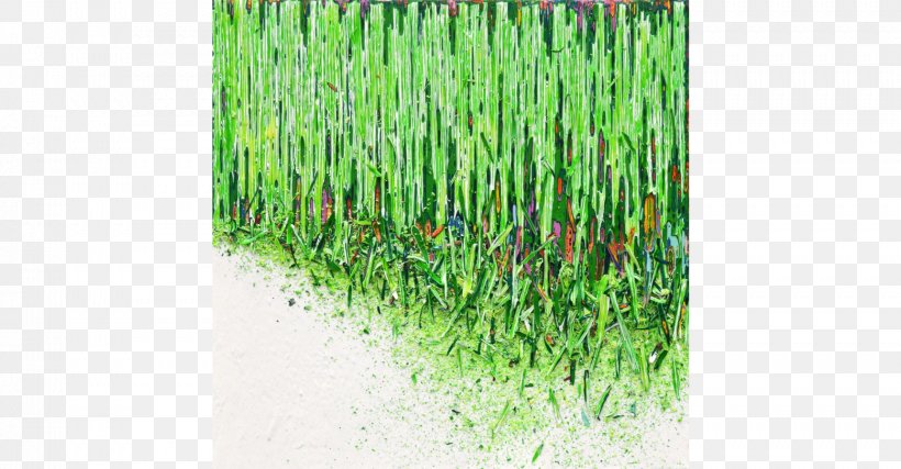 Canvas Painting Vetiver Magazine Records Acrylic Paint, PNG, 1722x898px, Canvas, Acrylic Paint, Album, Centimeter, Chrysopogon Download Free