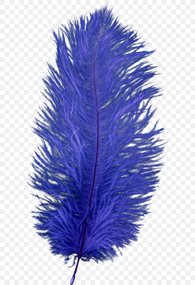 Feather, PNG, 602x1200px, Feather, Blue, Cobalt Blue, Electric Blue, Purple Download Free
