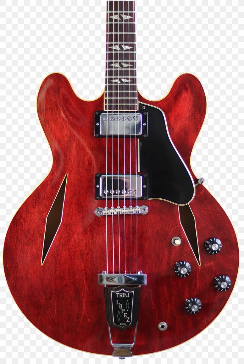 Gibson ES-335 Gibson ES Series Gibson ES-339 Semi-acoustic Guitar, PNG, 864x1286px, Watercolor, Cartoon, Flower, Frame, Heart Download Free