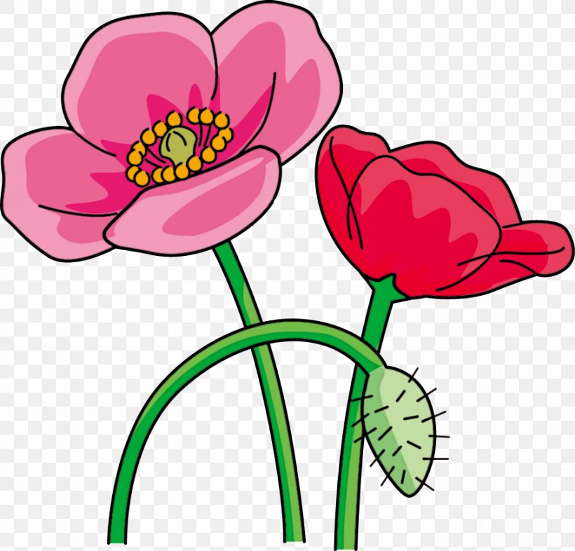 Ise Common Poppy Flower, PNG, 907x870px, Ise, Account, Artwork, Common Poppy, Cut Flowers Download Free