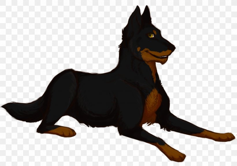 Ormskirk Terrier Australian Kelpie Guard Dog Australian Cattle Dog Razas Nativas Vulnerables, PNG, 1024x719px, Australian Kelpie, Australian Cattle Dog, Breed, Carnivoran, Dog Download Free