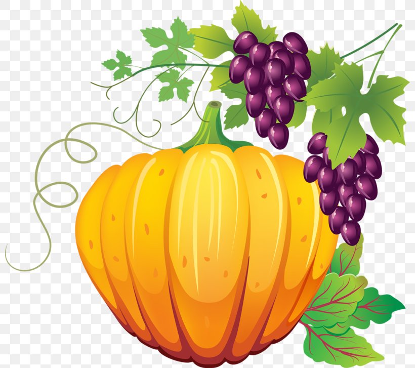 Pumpkin Autumn Clip Art, PNG, 800x727px, Pumpkin, Autumn, Calabaza, Cucurbita, Cucurbita Pepo Download Free