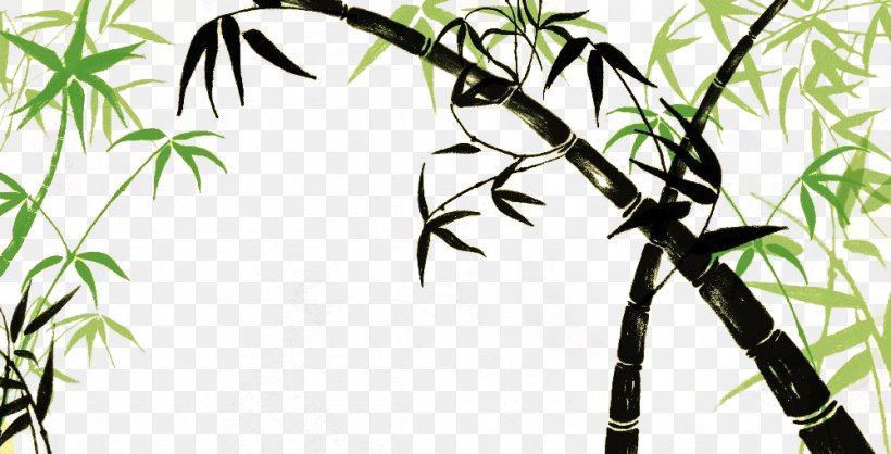Zongzi Bamboo Drawing, PNG, 1000x510px, Zongzi, Animation, Art, Bamboe, Bamboo Download Free