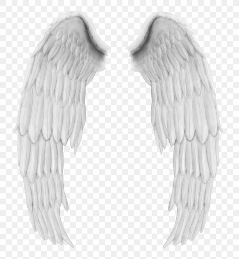 Angel Wings Buffalo Wing, PNG, 944x1022px, Angel Wings, Angel, Beak, Bird, Bird Of Prey Download Free