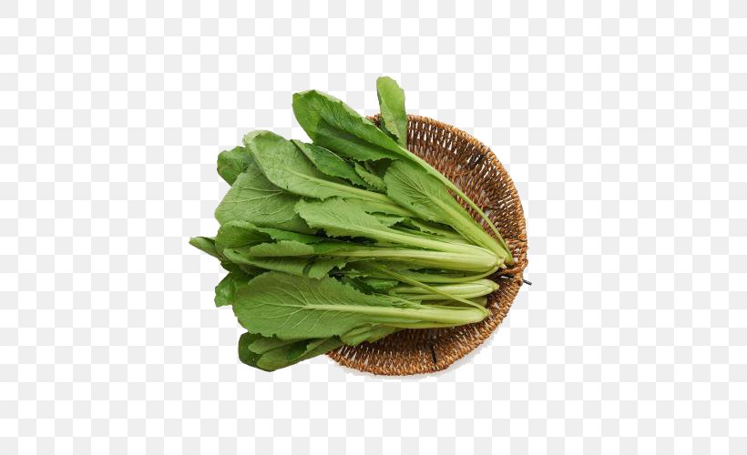 Choy Sum Romaine Lettuce Cabbage Spring Greens Collard Greens, PNG, 500x500px, Choy Sum, Bok Choy, Cabbage, Chinese Broccoli, Collard Greens Download Free