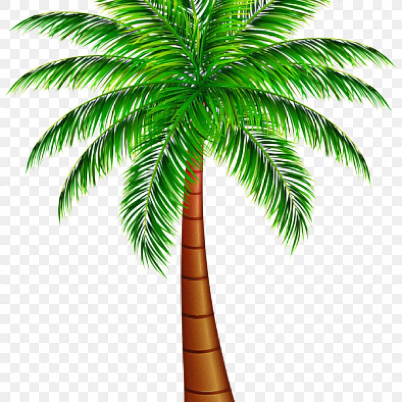 Date Tree Leaf, PNG, 1024x1024px, Palm Trees, Arecales, Attalea Speciosa, Borassus Flabellifer, Coconut Download Free