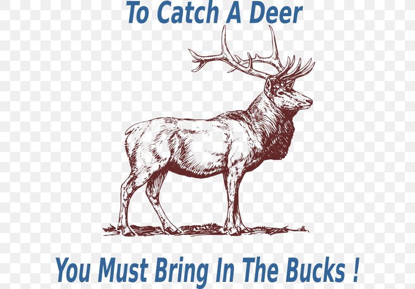 Elk Deer Drawing Pronghorn, PNG, 600x571px, Elk, Antler, Deer, Drawing, Fauna Download Free