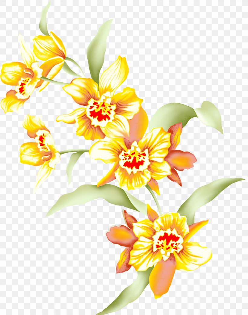Flower Petal Yellow Plant Cut Flowers, PNG, 2341x2970px, Flower, Cut Flowers, Herbaceous Plant, Petal, Plant Download Free