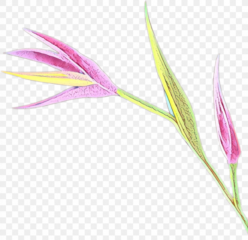 Flower Plant Pedicel, PNG, 928x900px, Flower, Pedicel, Plant Download Free