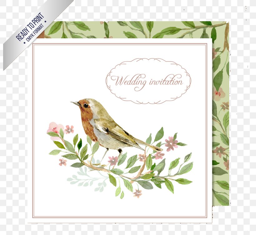 Wedding Invitation Bird Watercolor Painting Clip Art, PNG, 800x753px, Wedding Invitation, Beak, Bird, Branch, Color Download Free