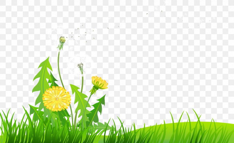 Dandelion Flower Clip Art, PNG, 1720x1057px, Dandelion, Drawing, Energy, Flora, Flower Download Free