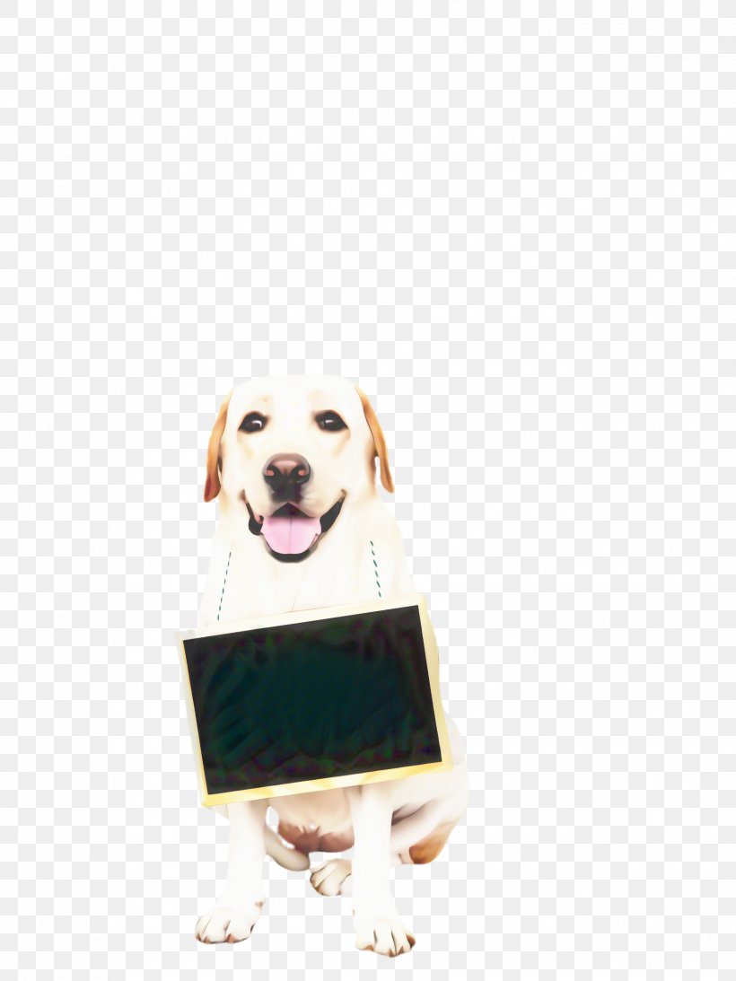 Golden Retriever Background, PNG, 1731x2308px, Cute Dog, Animal, Breed, Collar, Dog Download Free