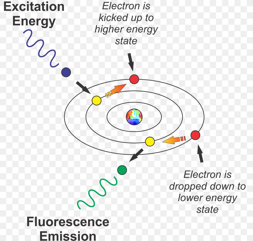 Light Fluorescence Electron Excitation Excited State, PNG, 793x779px, Light, Absorption, Area, Atom, Atomic Orbital Download Free