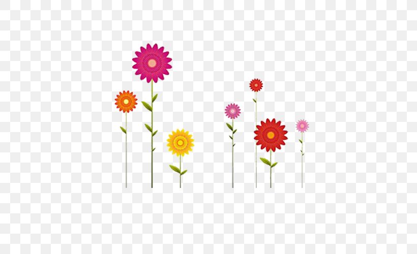 Transvaal Daisy Flower Drawing Common Daisy Illustration, PNG, 500x500px, Transvaal Daisy, Chrysanths, Color, Common Daisy, Cut Flowers Download Free