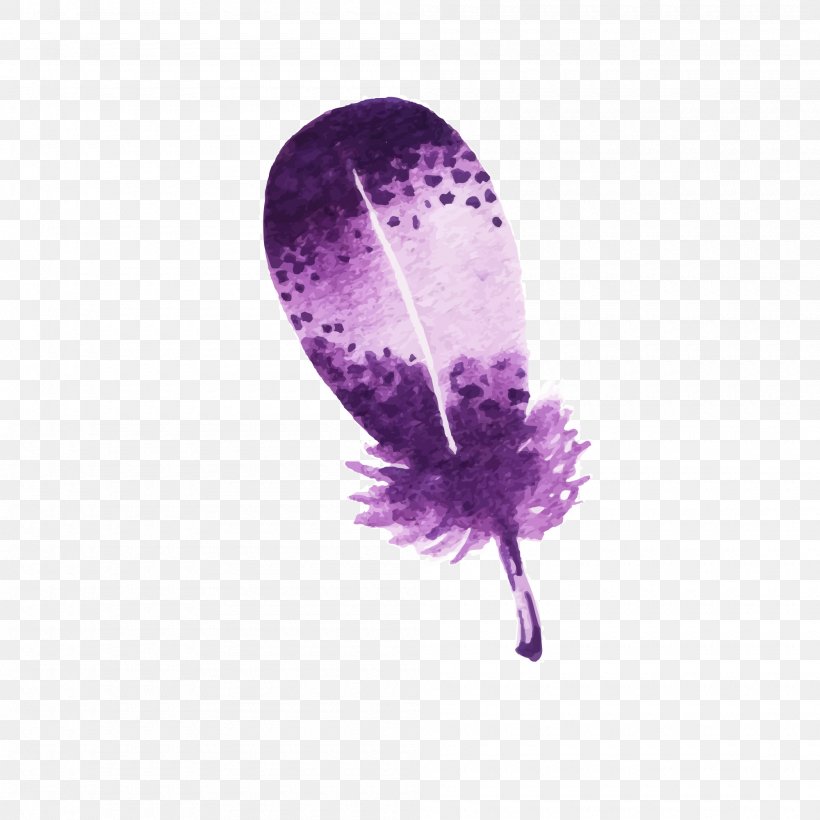 Bird Feather, PNG, 2000x2000px, Bird, Color, Drawing, Element, Feather Download Free