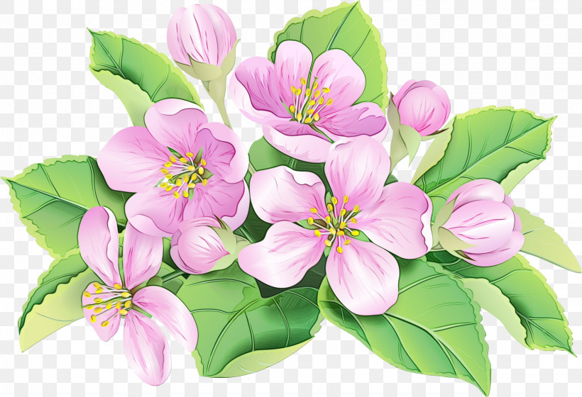 Cherry Blossom, PNG, 2252x1538px, Watercolor, Blossom, Cherry Blossom, Flower, Leaf Download Free