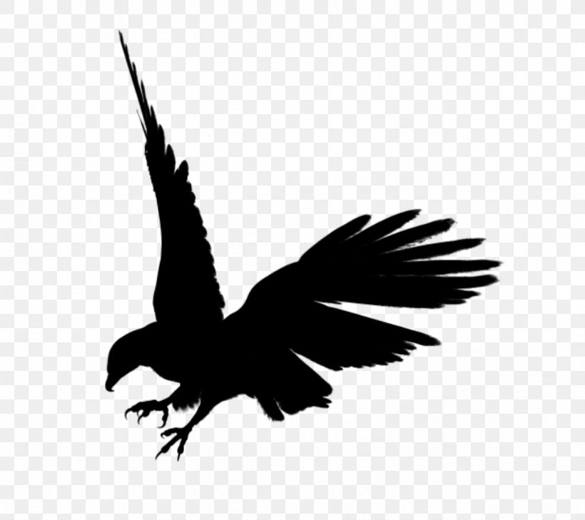 Eagle Silhouette Clip Art, PNG, 823x732px, Bald Eagle, Beak, Bird, Bird Of Prey, Black And White Download Free