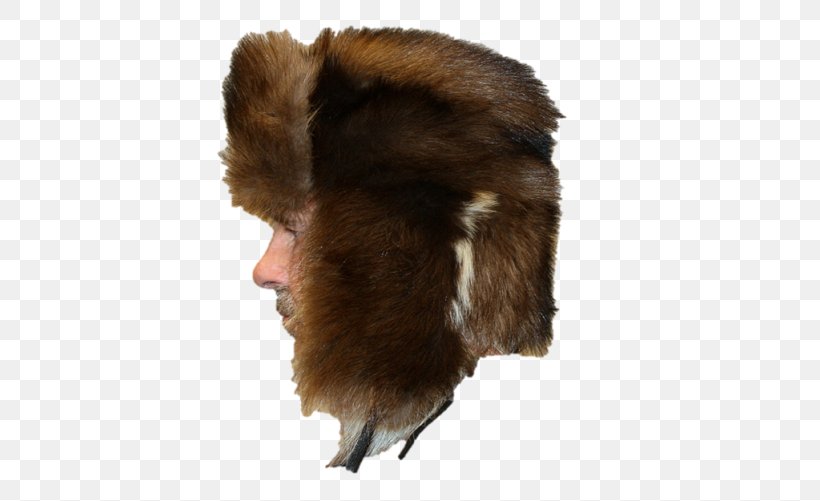 Fur Clothing Bearskin Ushanka Hat, PNG, 500x501px, Fur, Baseball Cap, Beanie, Bearskin, Bucket Hat Download Free