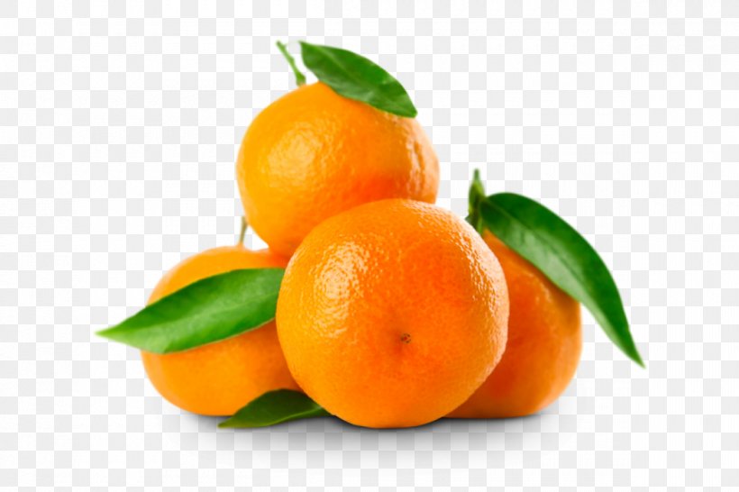 Mandarin Orange Clementine Fruit Citrus × Sinensis Rutaceae, PNG, 1200x800px, Mandarin Orange, Bitter Orange, Calamondin, Chenpi, Citreae Download Free