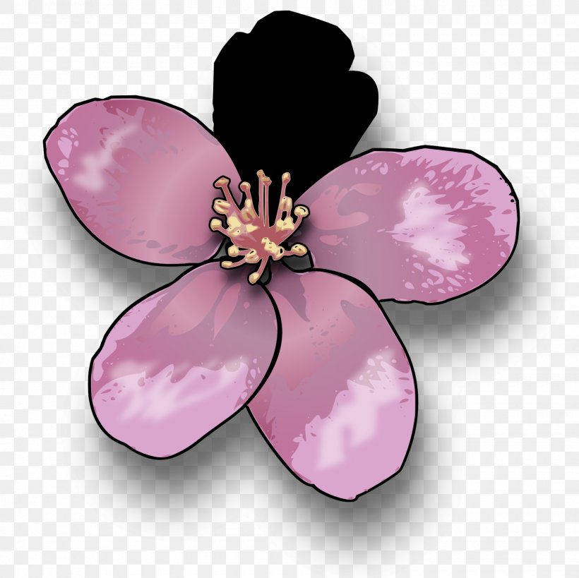 Blossom Drawing Clip Art, PNG, 1600x1600px, Blossom, Apple, Cherry Blossom, Drawing, Flower Download Free