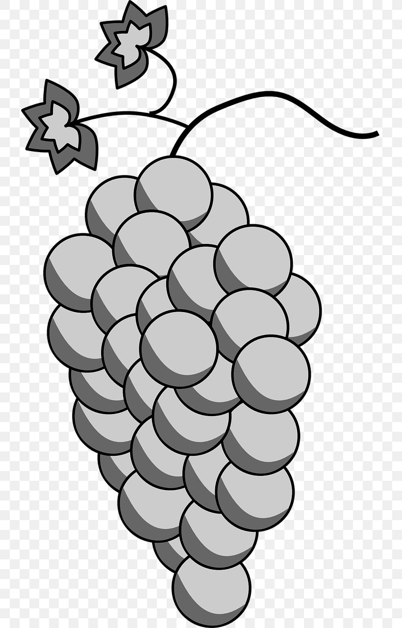 Grape White Wine Sauvignon Blanc Chenin Blanc, PNG, 734x1280px, Grape, Black And White, Cabernet Sauvignon, Chenin Blanc, Flower Download Free