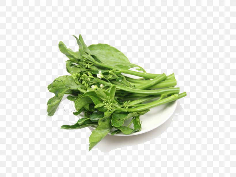 Vegetable Chinese Broccoli Kale Food Spring Greens, PNG, 1000x750px, Vegetable, Broccoli, Chinese Broccoli, Choy Sum, Collard Greens Download Free
