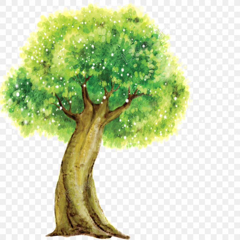 Arbor Day, PNG, 1024x1024px, Wall Decal, Arbor Day, Crown, Elm, Forest Download Free