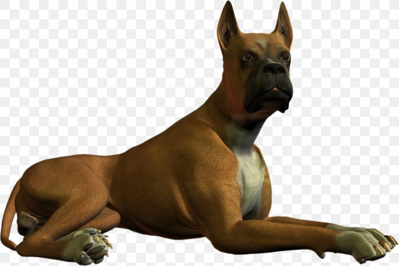 Boxer Great Dane Dog Breed Clip Art, PNG, 1600x1068px, Boxer, Animal, Bitmap, Carnivoran, Dog Download Free