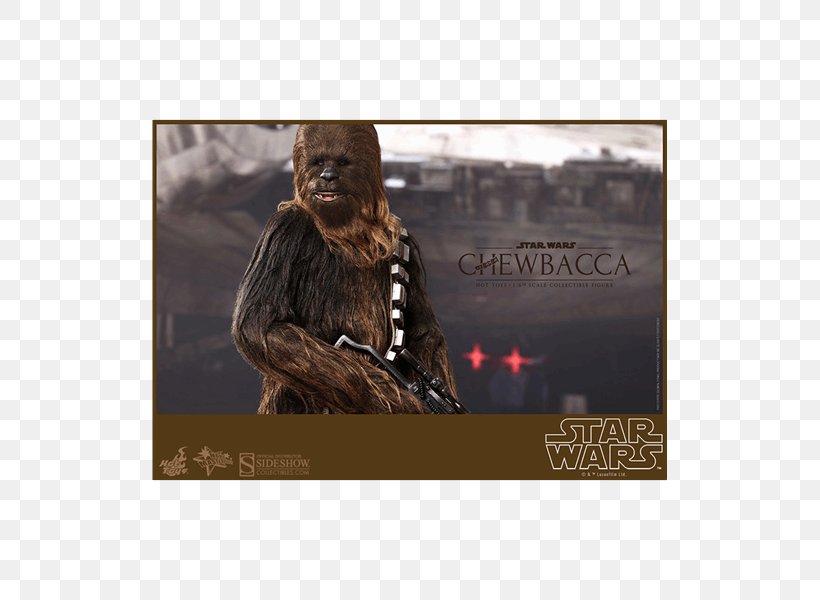 Chewbacca Han Solo Kenner Star Wars Action Figures Hot Toys Limited, PNG, 600x600px, Chewbacca, Action Toy Figures, Han Solo, Hot Toys Limited, Kenner Star Wars Action Figures Download Free