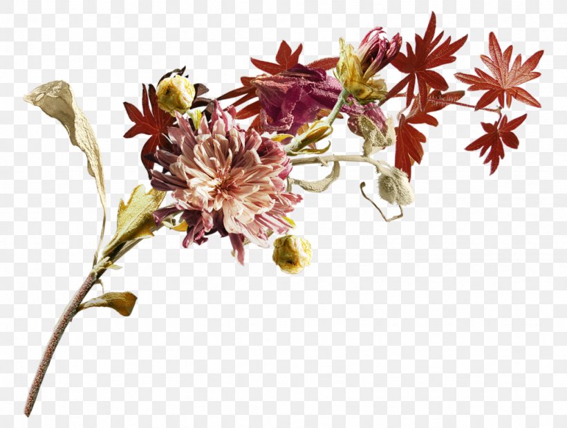 Cut Flowers Floral Design Clip Art, PNG, 1024x774px, Flower, Blossom, Branch, Cut Flowers, Flora Download Free
