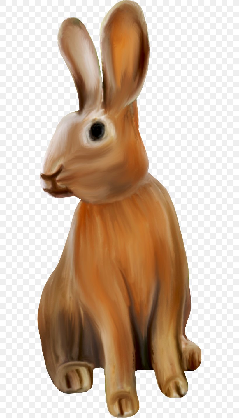Domestic Rabbit Easter Bunny Hare European Rabbit, PNG, 564x1436px, Domestic Rabbit, Animal, Dog, Ear, Easter Download Free