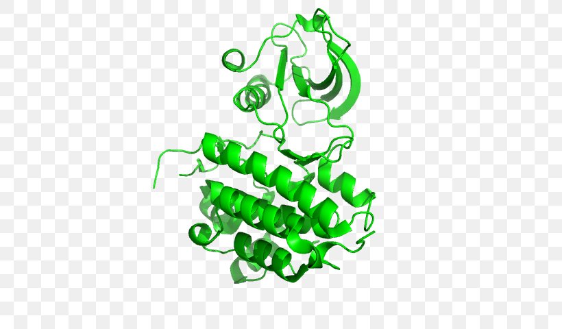 Ephrin Receptor EPH Receptor A5 EPH Receptor A4, PNG, 640x480px, Ephrin Receptor, Area, Cell Surface Receptor, Eph Receptor A4, Eph Receptor A5 Download Free