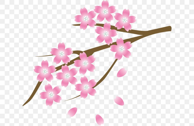 Kobe Cherry Blossom Ibaraki Kyoto Isohachi, PNG, 630x532px, Kobe, Blossom, Branch, Cherry Blossom, City Download Free