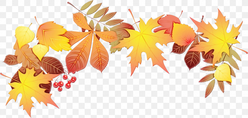 Maple Leaf, PNG, 1280x609px, Watercolor, Autumn, Black Maple, Leaf, Maple Leaf Download Free