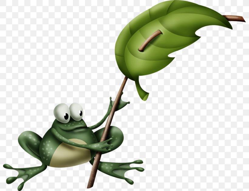Tree Frog True Frog Clip Art, PNG, 800x628px, Tree Frog, Amphibian, Animal, Cartoon, Email Download Free