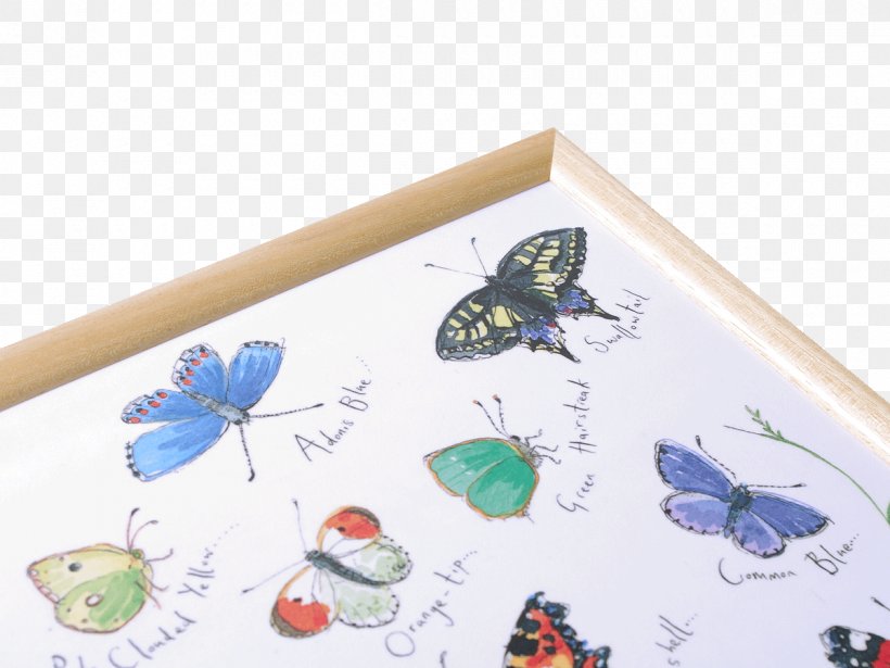 Butterfly Paper Tray, PNG, 1200x900px, Butterfly, Insect, Invertebrate, Moths And Butterflies, Paper Download Free