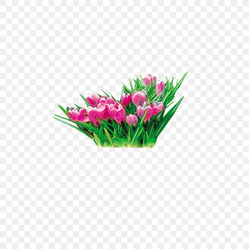 Floral Design Tulip Daffodil Flower Yellow, PNG, 1000x1000px, Floral Design, Cut Flowers, Daffodil, Designer, Floristry Download Free