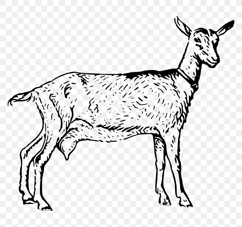 Goats Clip Art, PNG, 768x768px, Goat, Animal Figure, Black And White, Cattle Like Mammal, Cow Goat Family Download Free