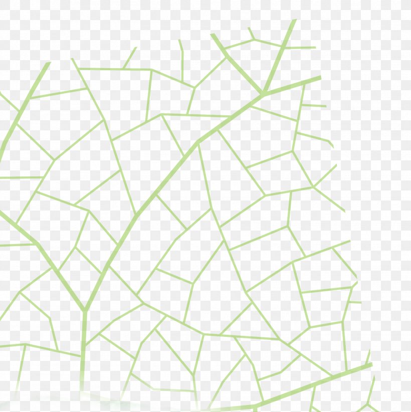 Line Art Point Angle Leaf, PNG, 1525x1530px, Point, Area, Black And White, Drawing, Leaf Download Free