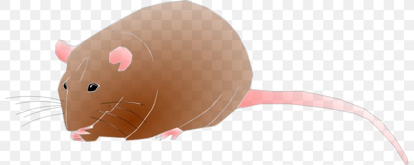 Rat Computer Mouse Cartoon Illustration, PNG, 798x328px, Rat, Cartoon, Computer, Computer Mouse, Ear Download Free