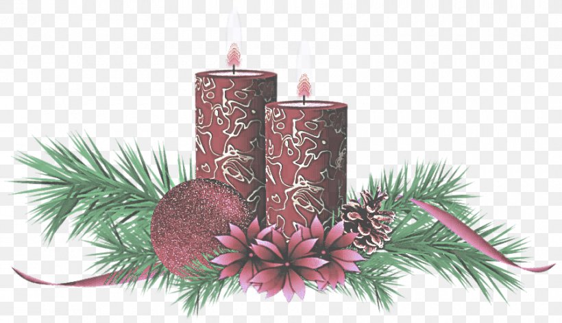Candle Lighting Pink Tree Colorado Spruce, PNG, 900x518px, Candle, Branch, Candle Holder, Colorado Spruce, Leaf Download Free