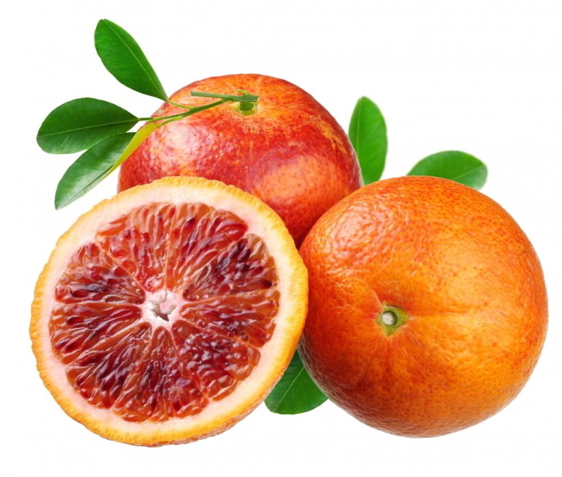 Citrus Fruit Soda Syphon Lemon Navel Orange Grapefruit Juice, PNG, 1024x871px, Citrus Fruit, Apple, Bitter Orange, Blood Orange, Citric Acid Download Free